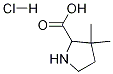 PI-48195 3,3-Dimethylpyrrolidine-2-carboxylic acid hydrochloride (61406-78-8)