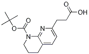 PI-48224 3-(8-(Tert-Butoxycarbonyl)-5,6,7,8-tetrahydro-1,8-naphthyridin-2-yl)propanoic acid (886362-45-4)