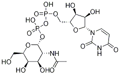 PI-48609 Uridine-diphosphate-n-acetylgalactosamine (7277-98-7)