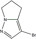 PI-49250 3-Bromo-5,6-dihydro-4H-pyrrolo[1,2-B]pyrazole (174790-35-3)