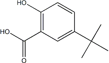 PI-50641 5-5-tert-Butyl-2-hydroxybenzoic acid (16094-31-8)