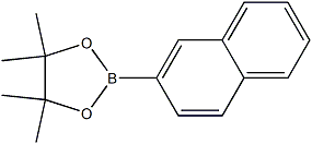 PI-51571 4,4,5,5-Tetramethyl-2-(naphthalen-2-yl)-1,3,2-dioxaborolane (256652-04-7)