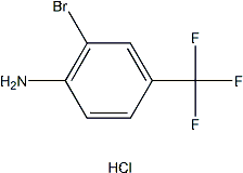 PI-52368 2-Bromo-4-(trifluoromethyl)aniline hydrochloride (54403-97-3)