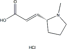 PI-52445 (R,E)-3-(1-Methylpyrrolidin-2-yl)acrylic acid hydrochloride (2243041-69-0)